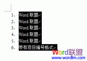 带有项目编号格式