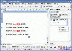 Word2003����ε������������񴰸�